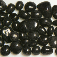 Black Jelly Bean